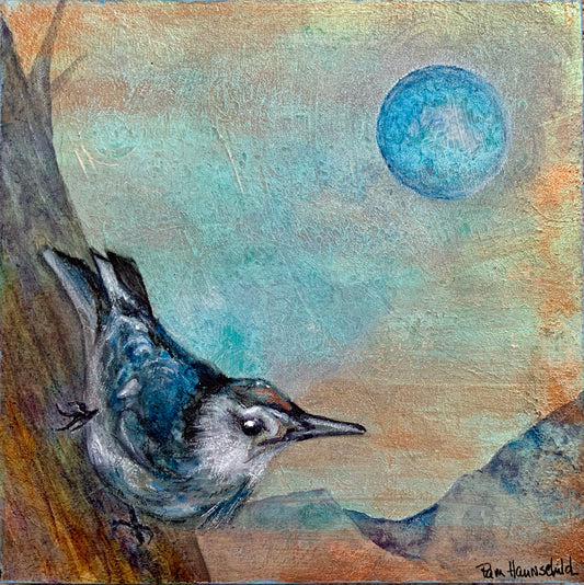 Nuthatch II