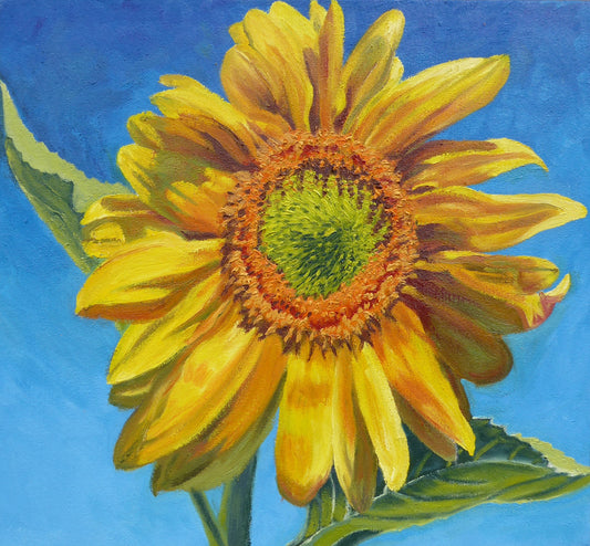 High Noon Sunflower
