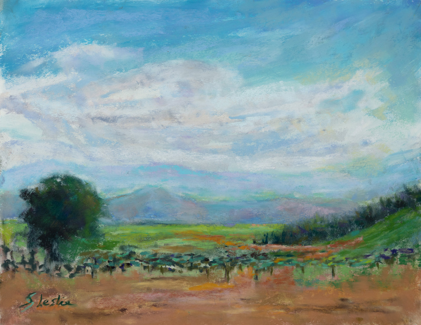 Skyline over Jacksonville