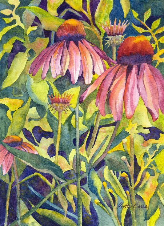 Awakening to the Sun