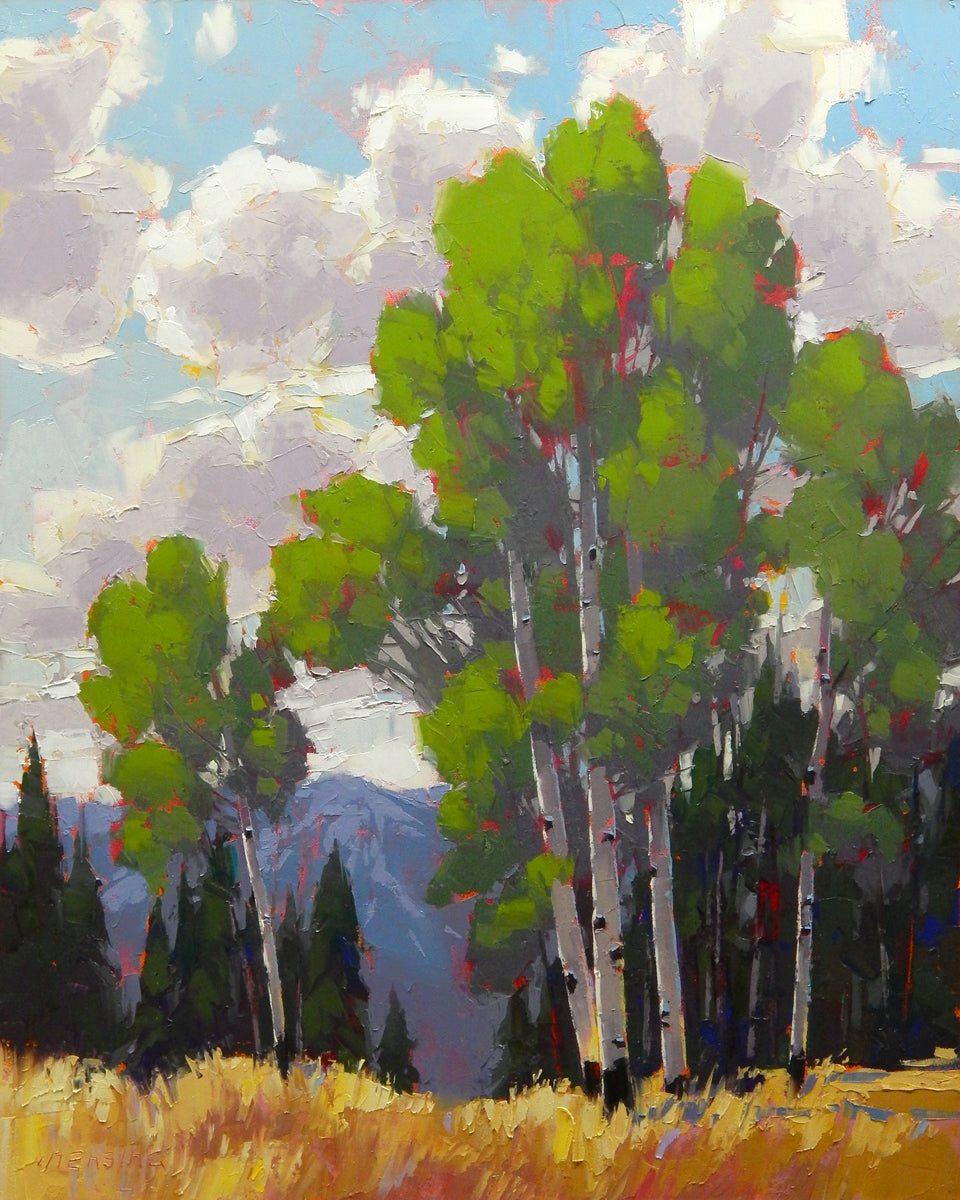 Beneath the Big Sky