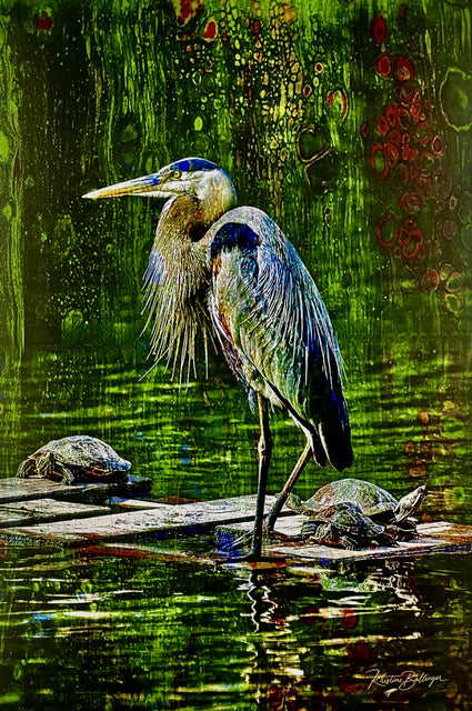 Emerald Tide