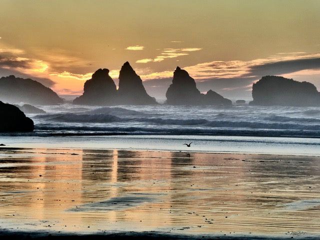 Golden Sea