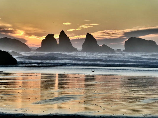 Golden Sea