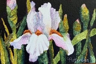 Elegant Iris