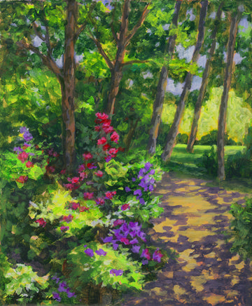 Shadows and Light