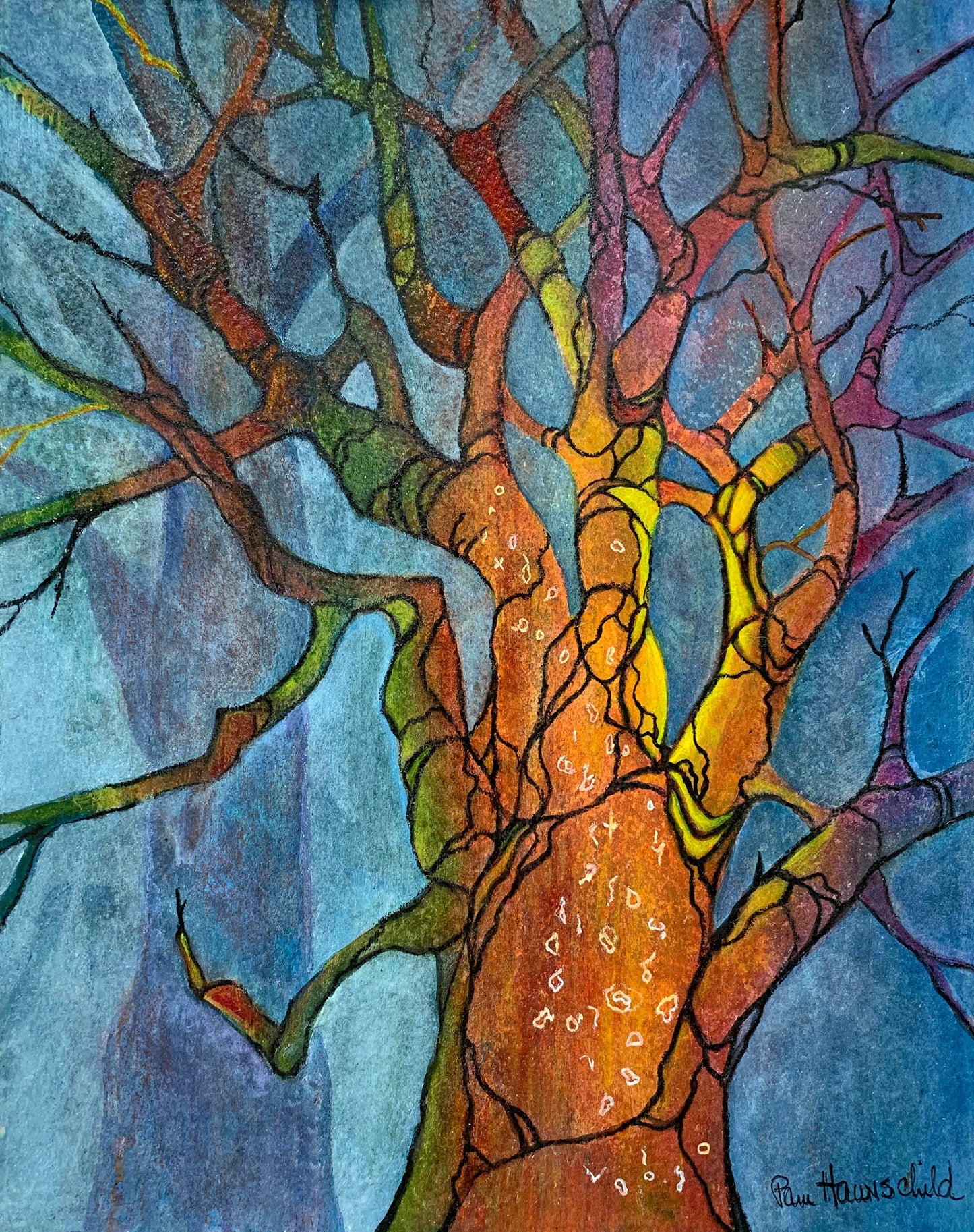 Old Growth II
