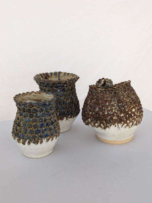 Morel Vessel