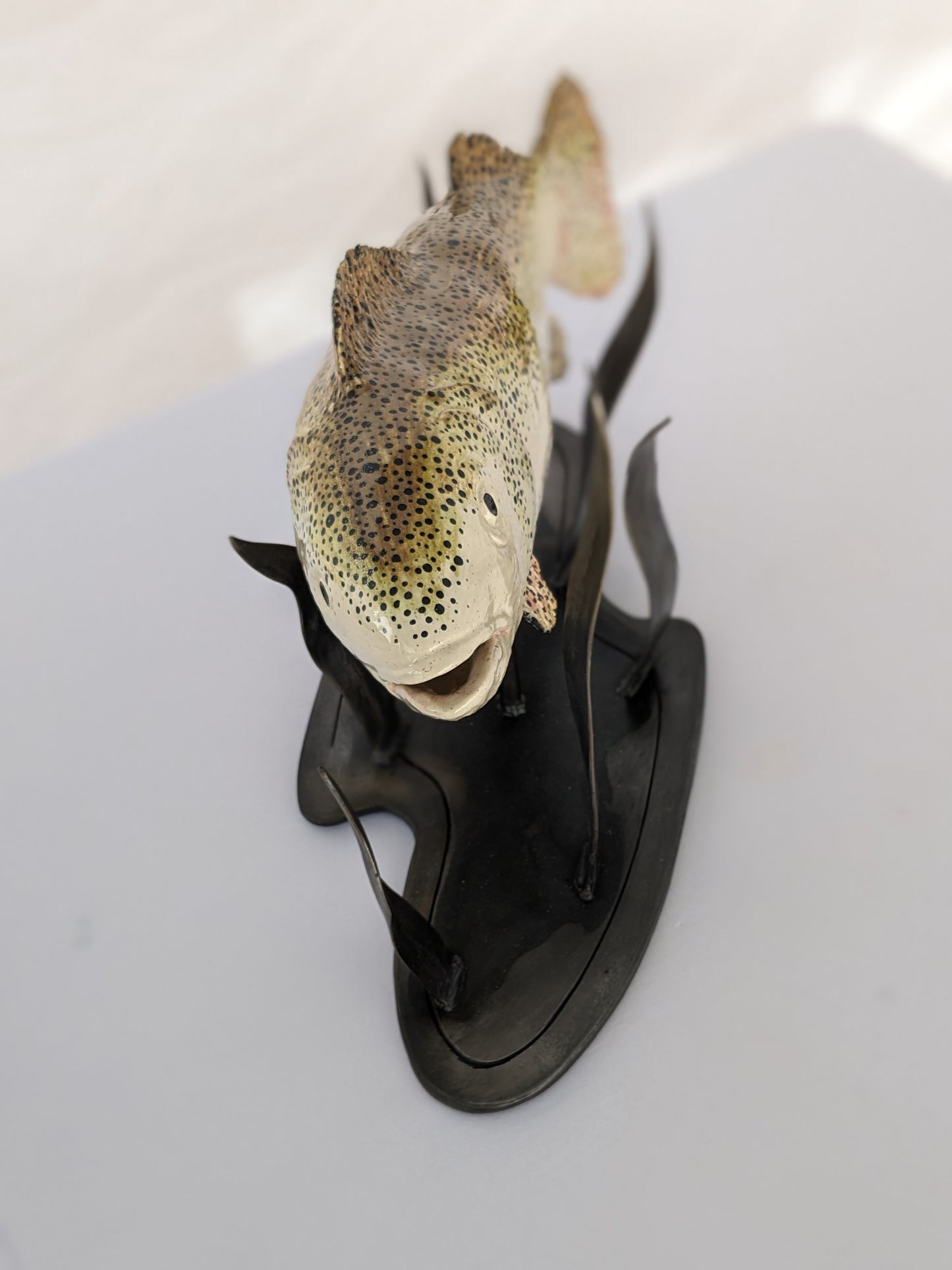 Fish, Brown Trout