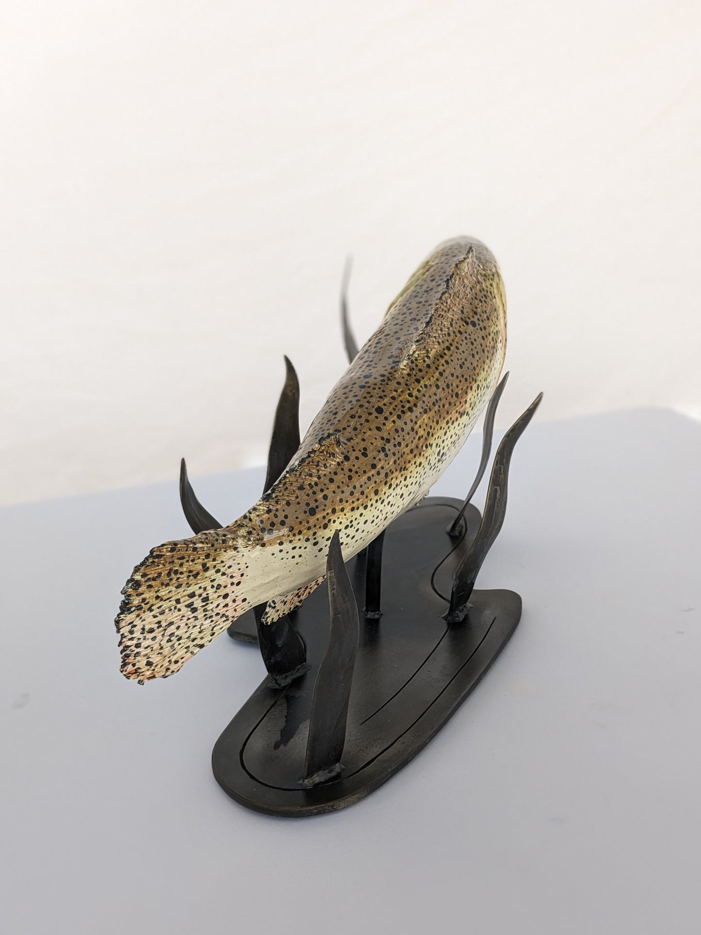 Fish, Brown Trout