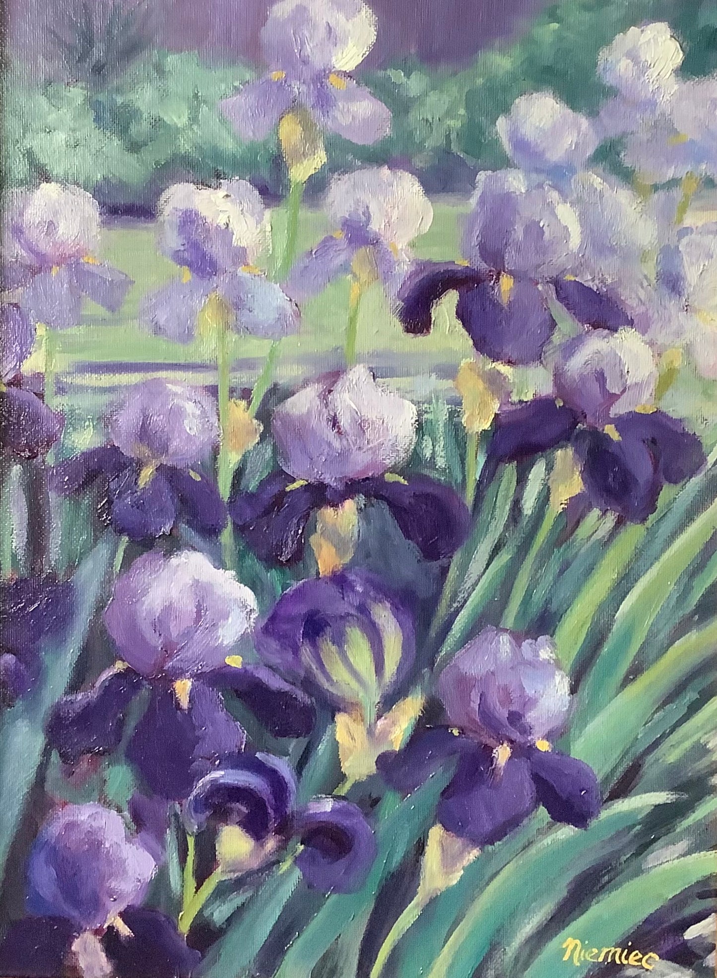 Pink Iris Garden