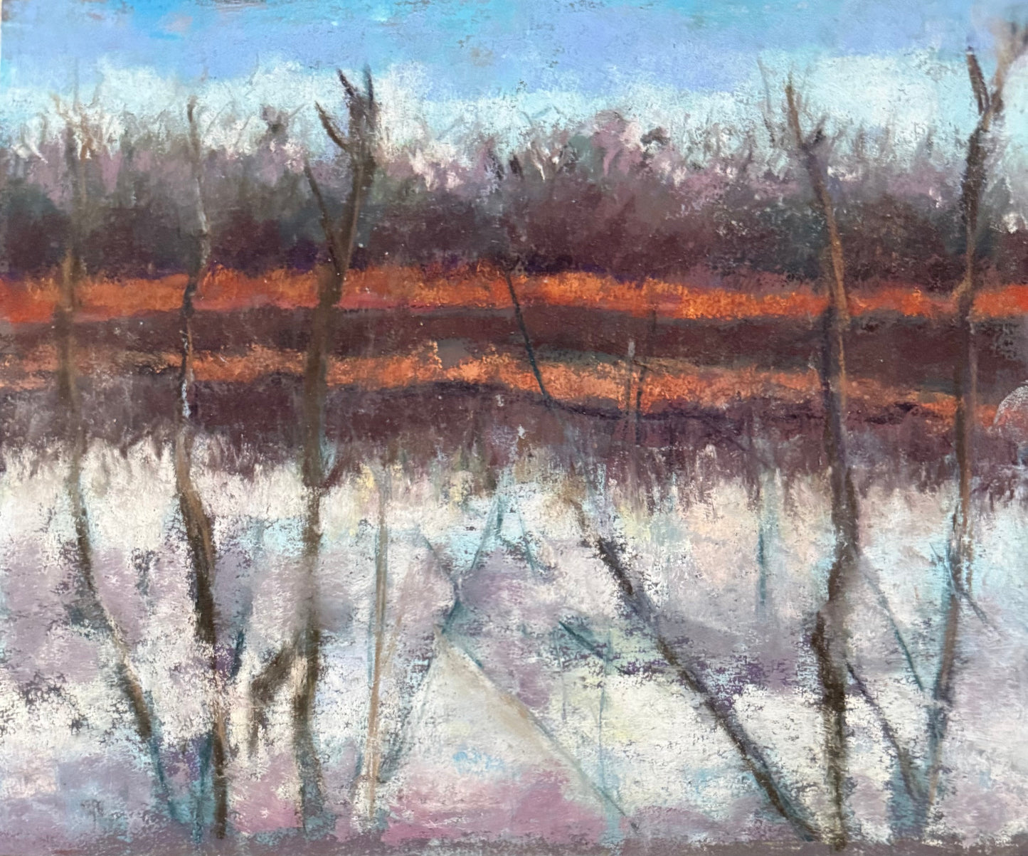 Snowy Marsh