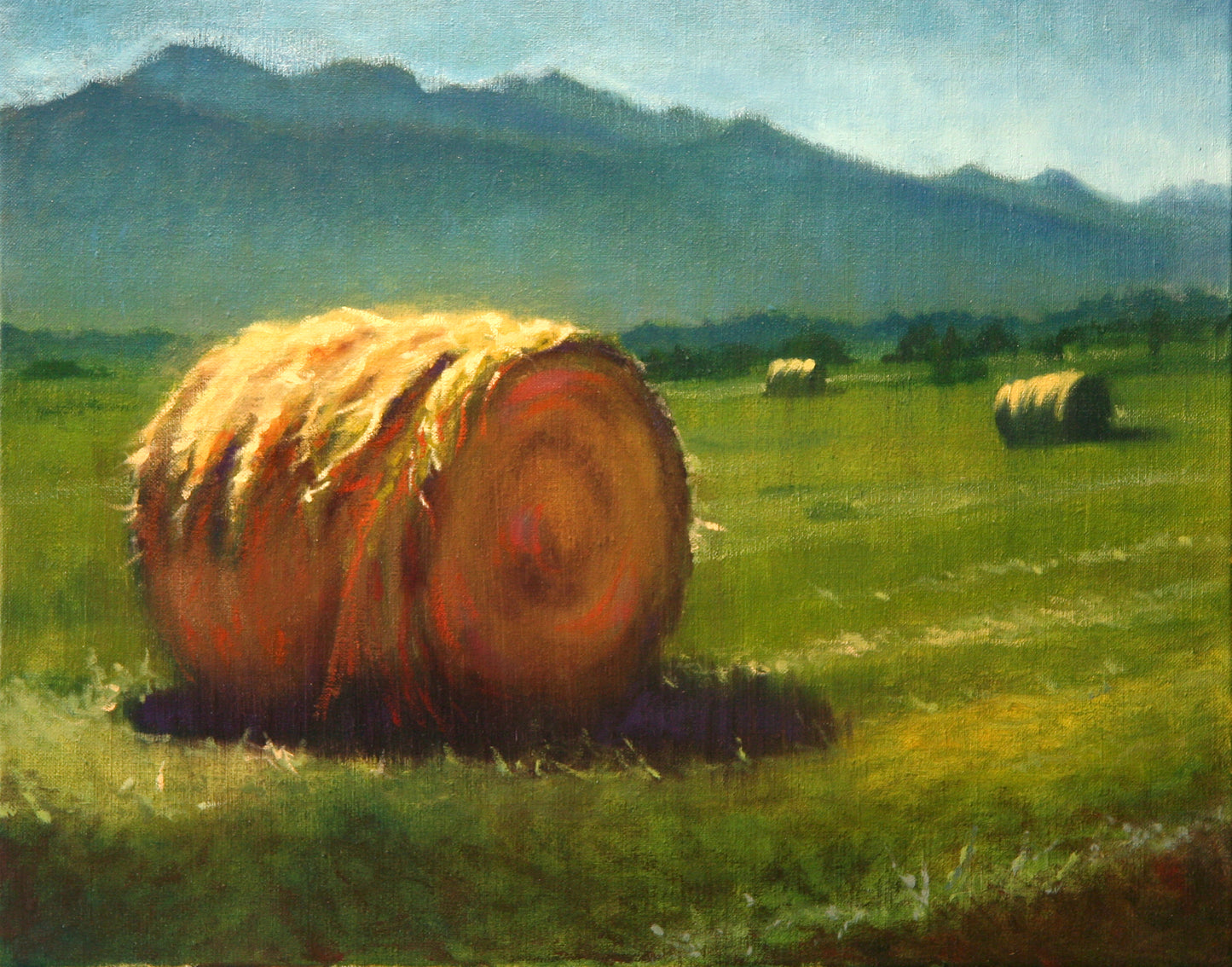 Montana Hale Bales