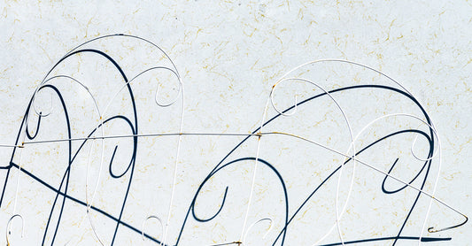 White Wire, Black Shadow