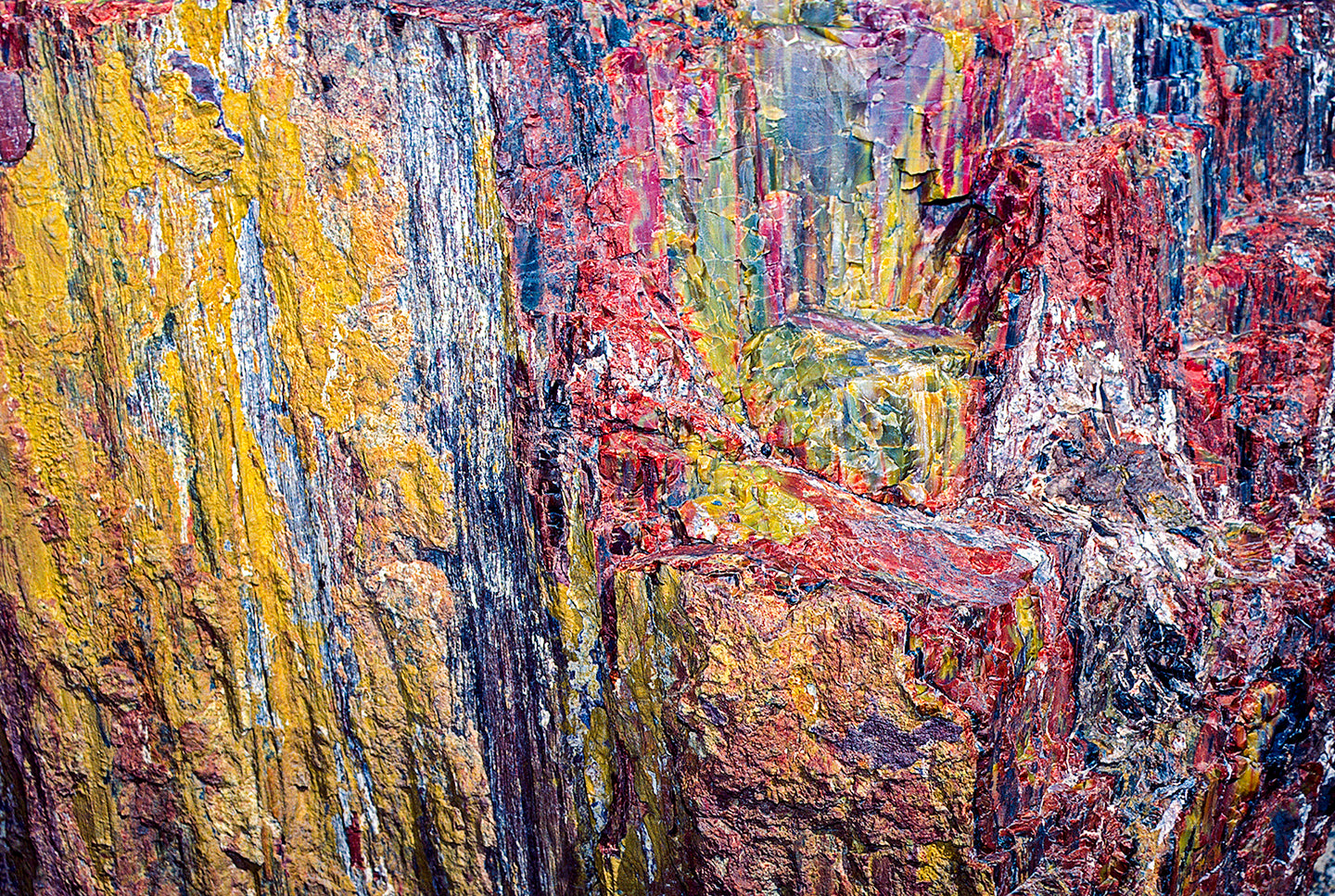 Petrified Forest