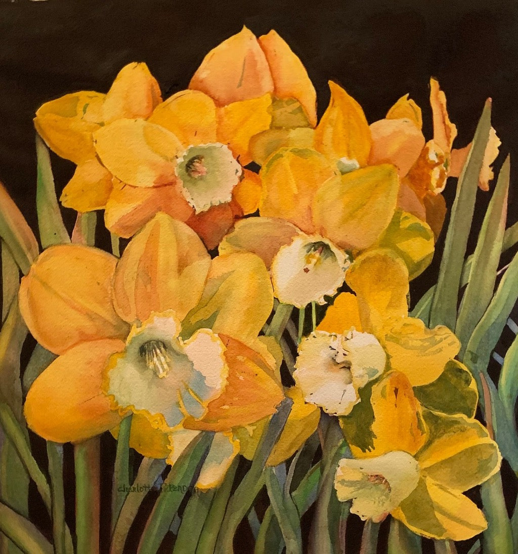 Laughing Daffies
