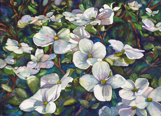 Dance of the Dogwoods