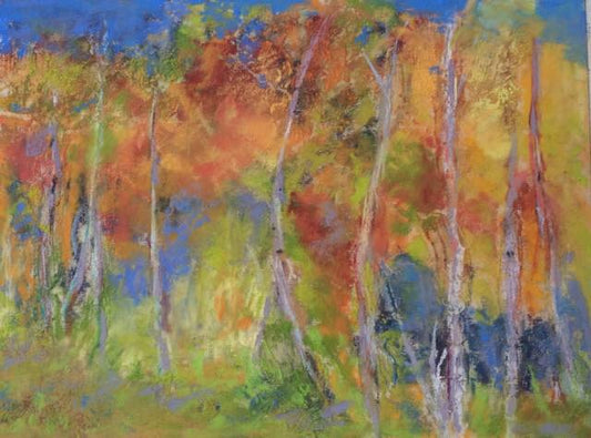 Birch Beauty
