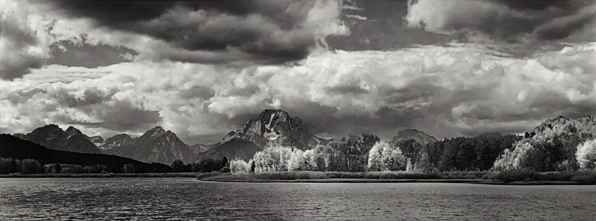 Snake River, Aspens, Tetons