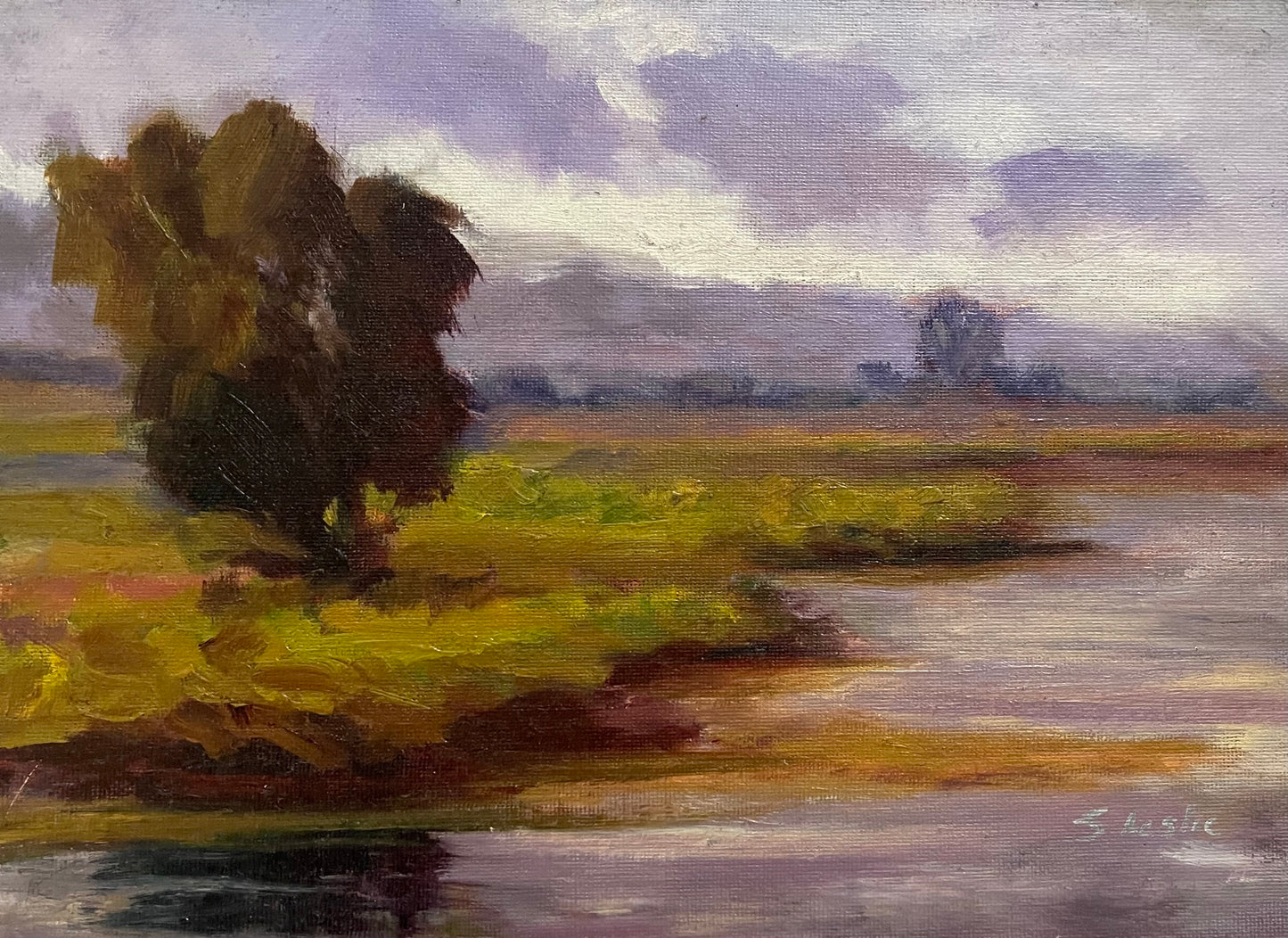 Bay lands Beauty