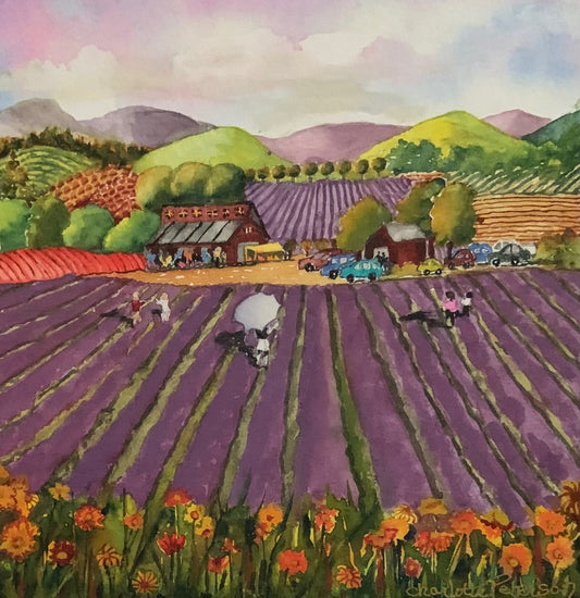 English Lavender Farm
