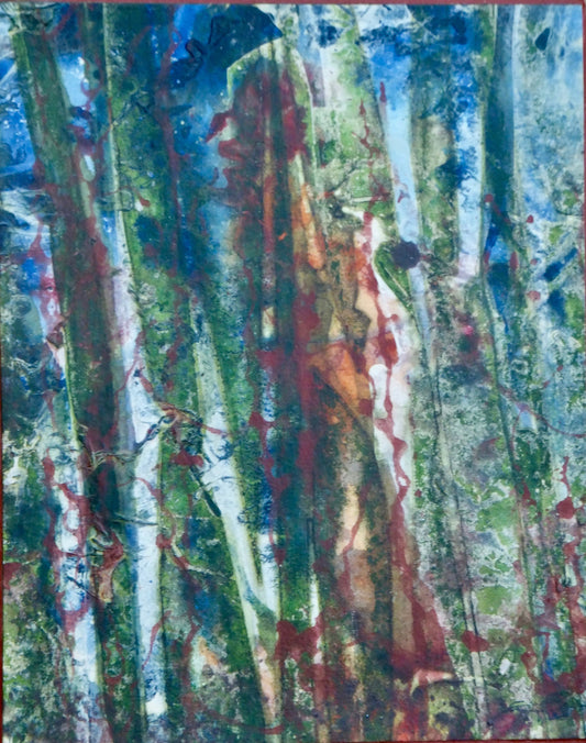 Redwood Delight