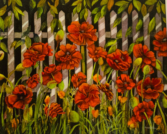 Poppies & Pickets