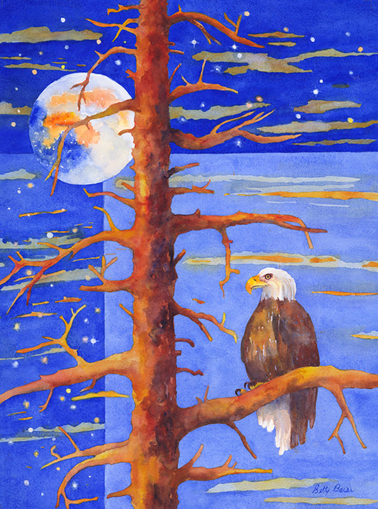 Freedom Never Sleeps