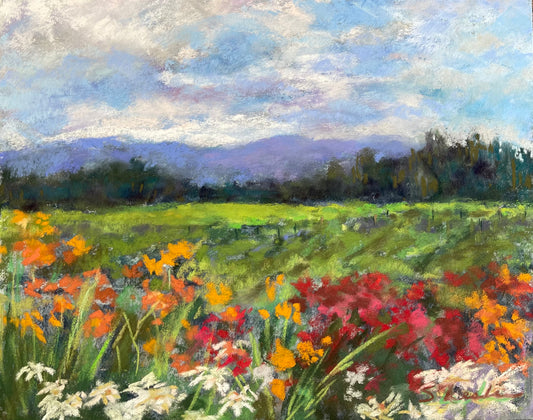 Springtime in the Applegate