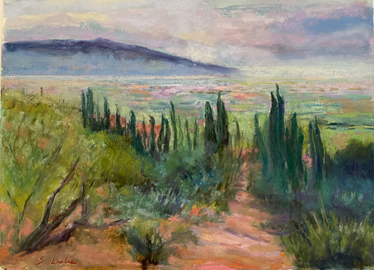 The View from Cortona