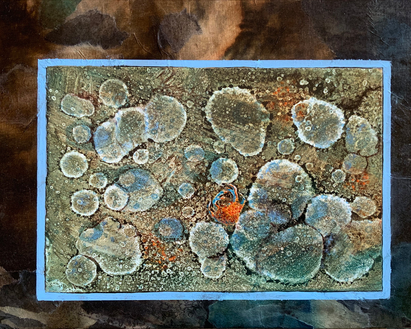 Tidepool