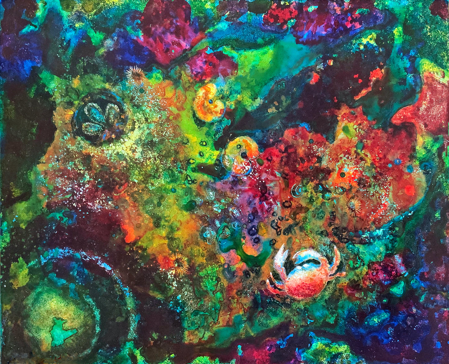 Tidepool V
