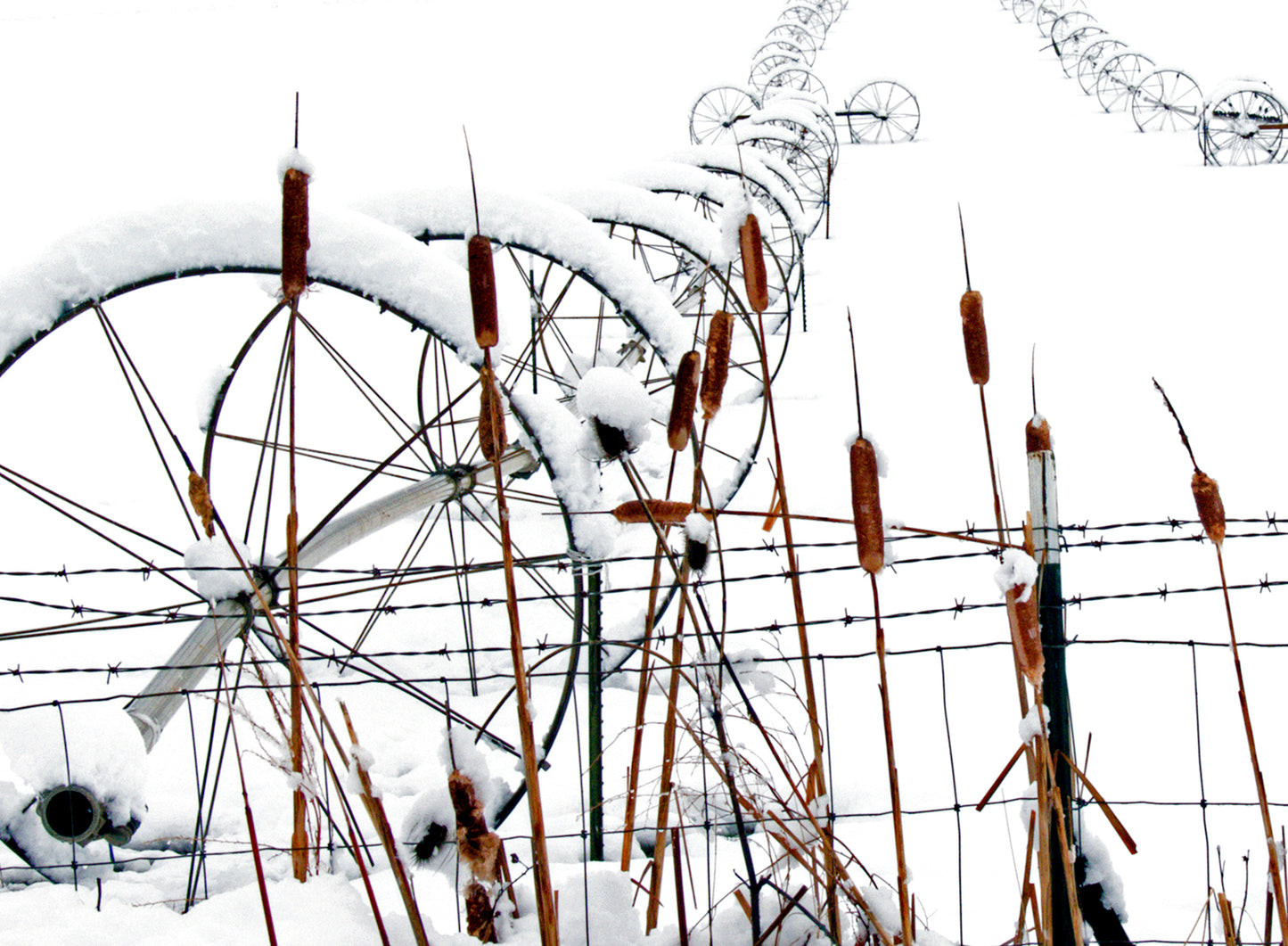 Winter Idyll #3