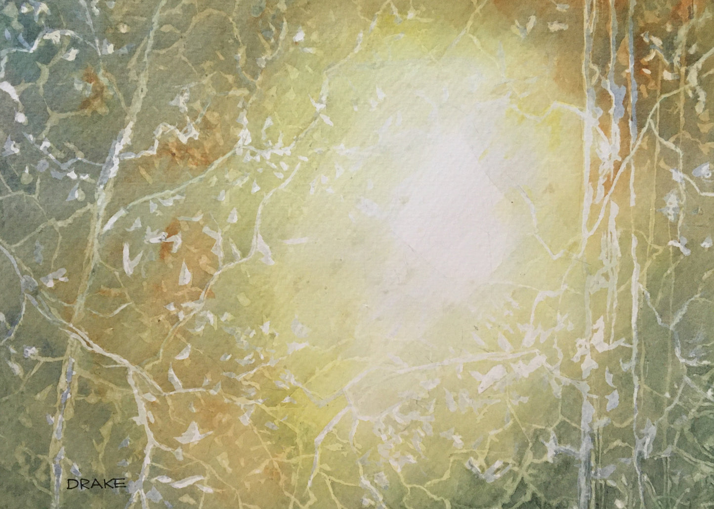 Lost Follow the Light