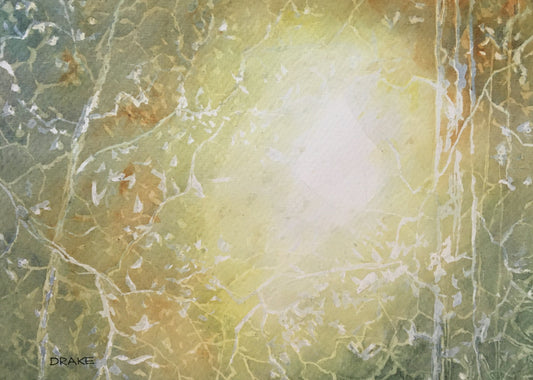 Lost Follow the Light