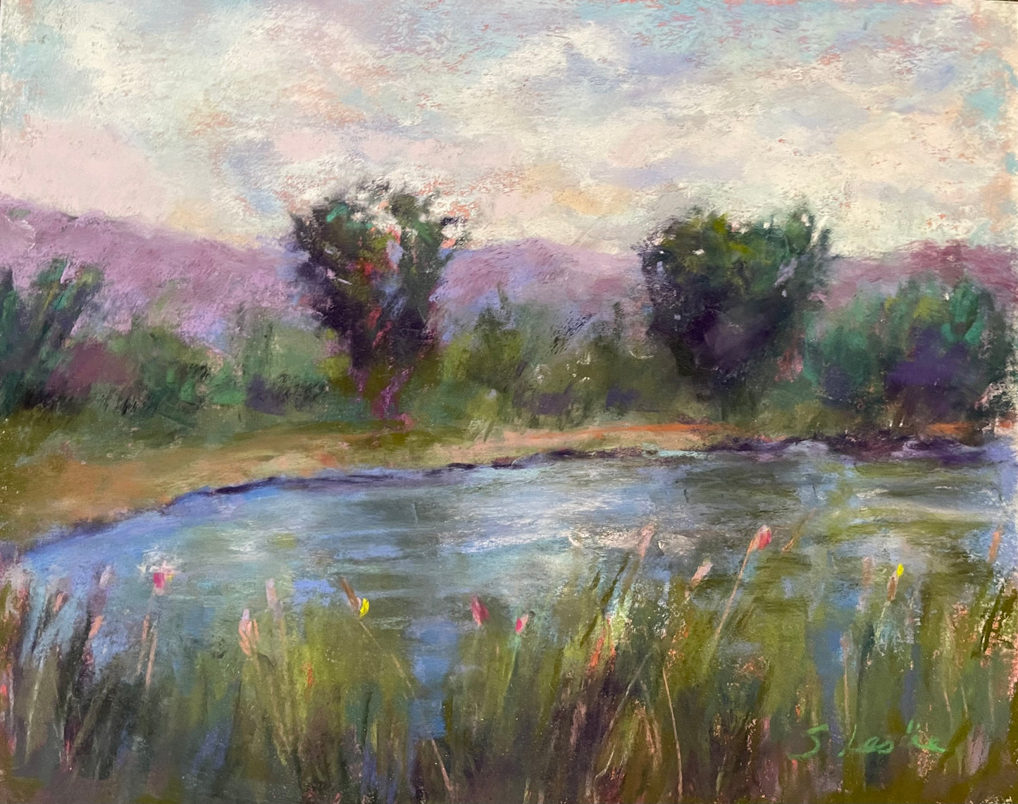 Schmidt Family Grounds