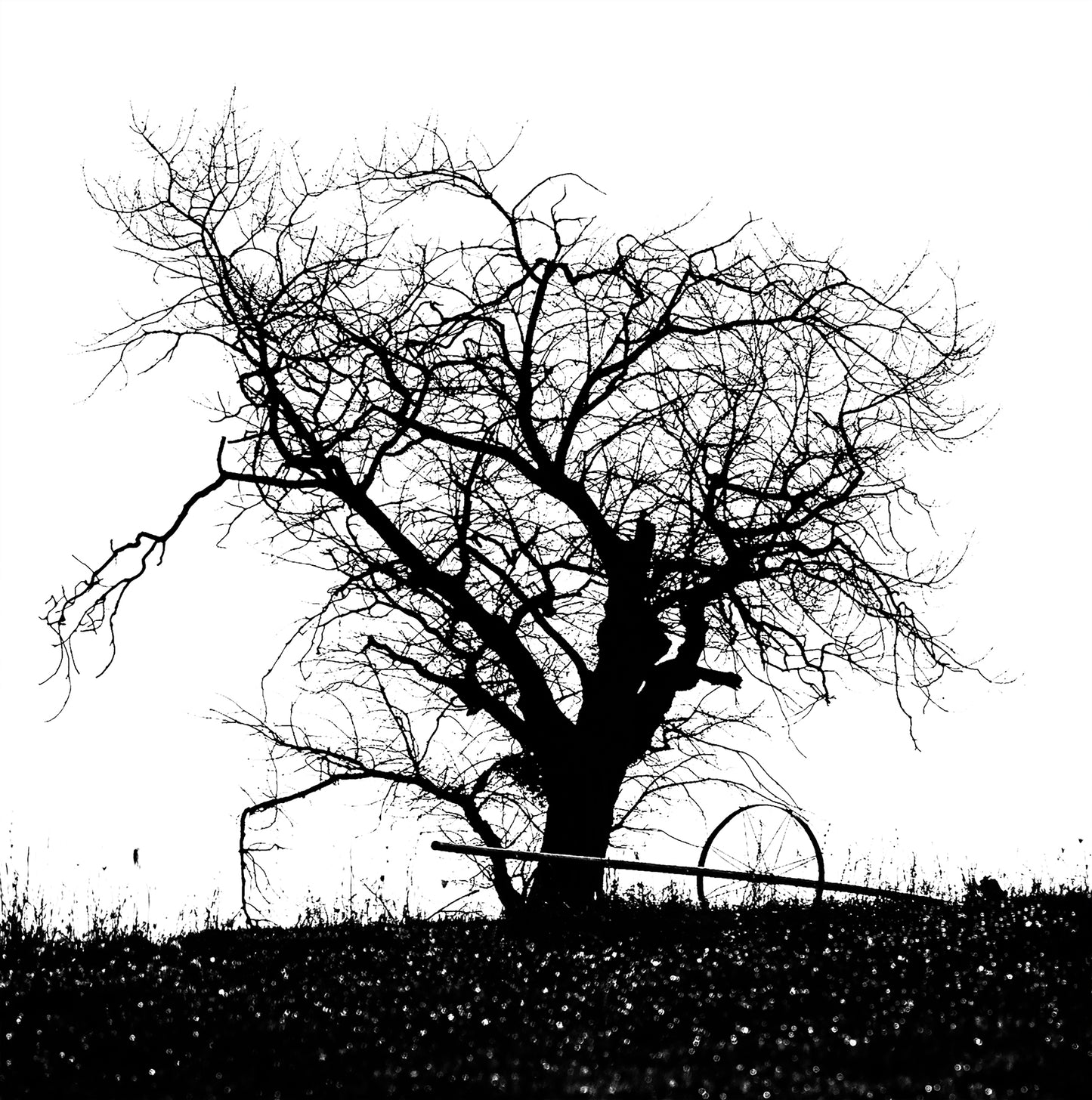 The Tree #1