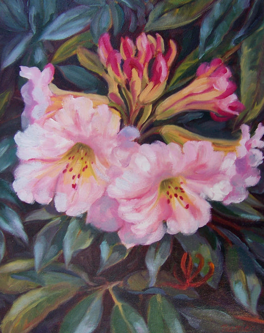 Rhododendron Flowers - Circle of Life