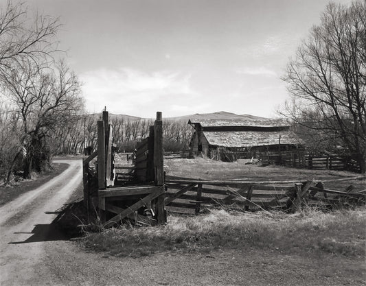 Cattle Chute and Barn, Oregon Outback 2021