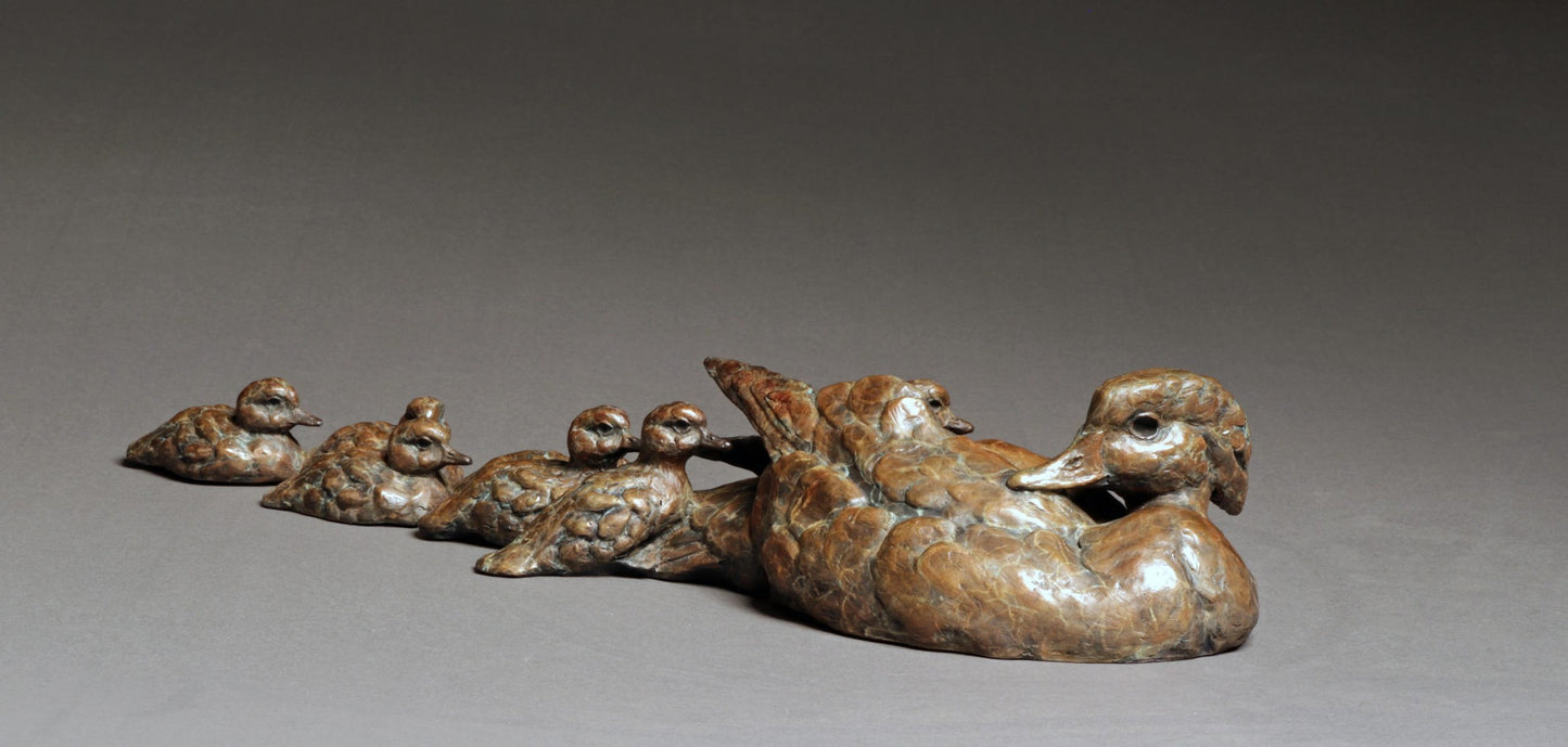 Ducks In a Row