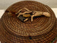 Brook Trout Basket