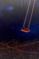 Reverie