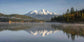 Mt Shasta Fall Mist
