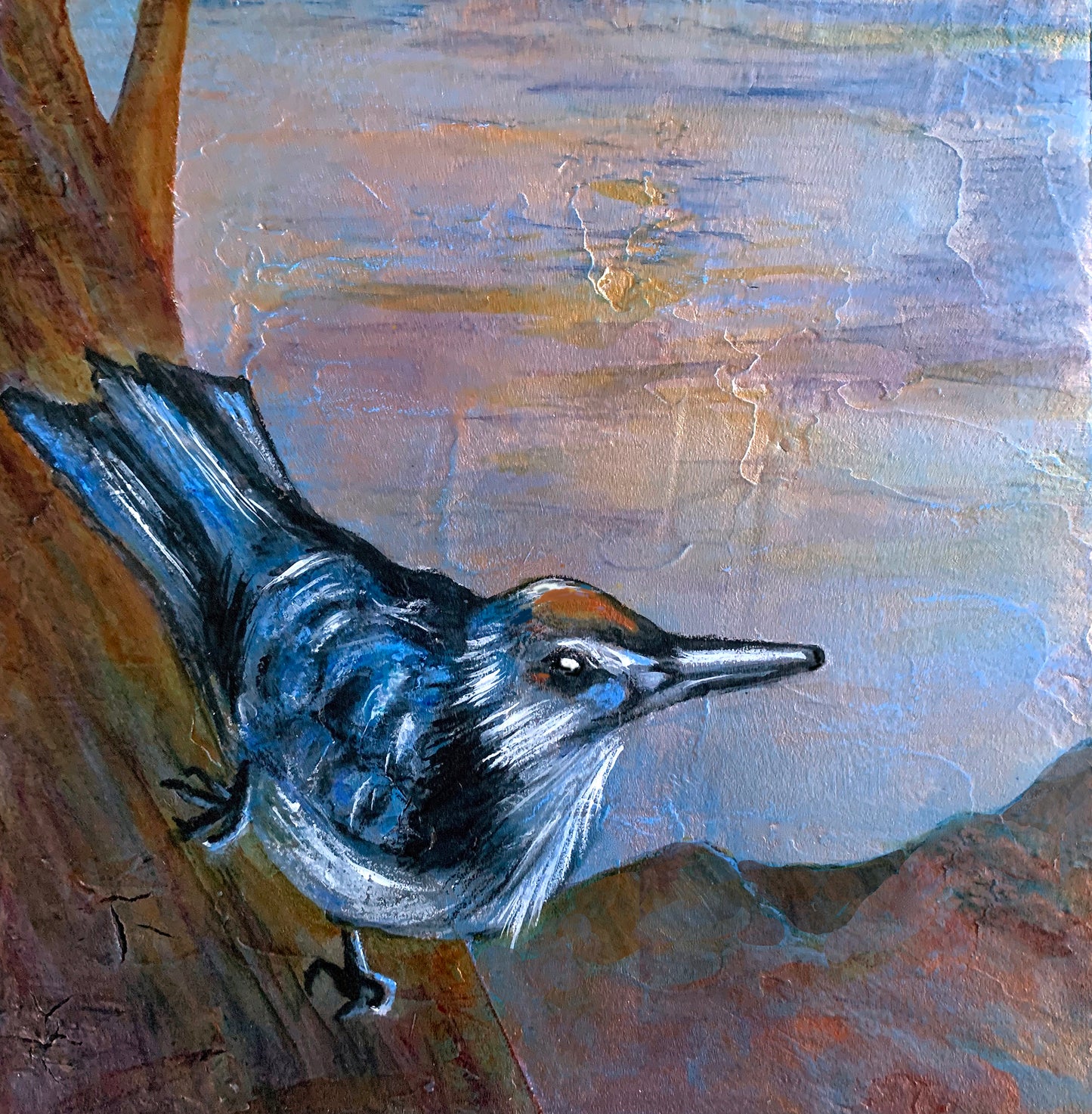 Nuthatch