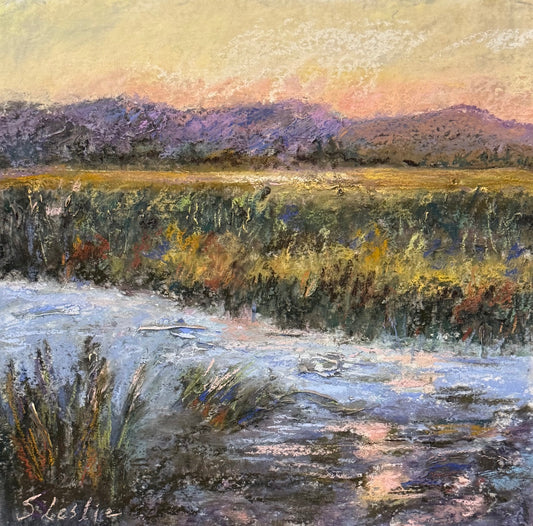 Portola Marsh