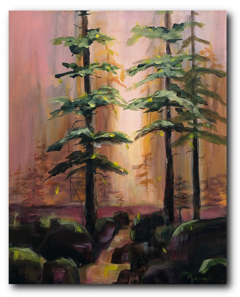 Seasons of the Forest