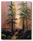 Seasons of the Forest