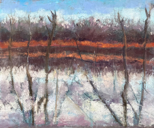 Snowy Marsh