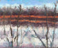 Snowy Marsh