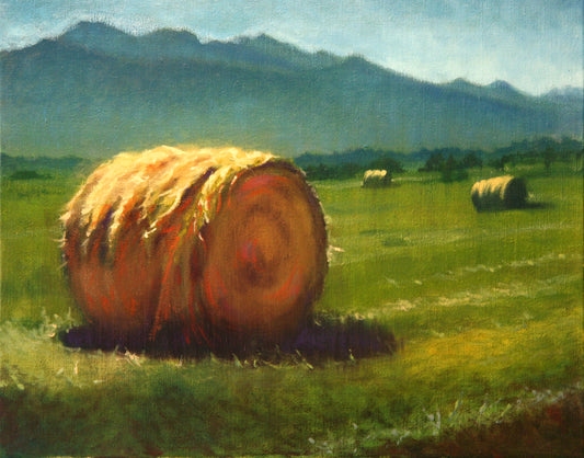 Montana Hale Bales